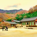 선운사 - 1268 | 선운사