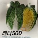 황금농약사 이미지