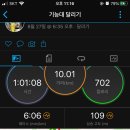 레쯔비 이미지