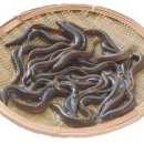 메디언스㈜ 이미지