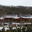 더포레스트 이미지