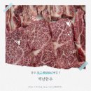 백년한우본가 | 양산동고기집 백년한우 방문 후기