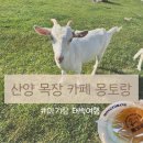 알프스산양목장 | 산양 목장 카페 몽토랑 | 태백 아기와 가볼 만한 곳