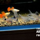 뉴라인파크 이미지