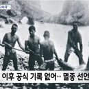 [단독] 가거도 이어 통영 앞바다에 큰바다사자 출현 이미지