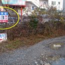 남이섬레이크 이미지