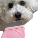 개와당신 이미지