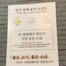 서울암퇘지 이미지
