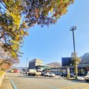 선산산업낙동강의성휴게소 | 경부고속도로 금강 휴게소 - 경북 옥천 여행
