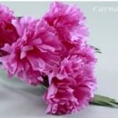 안양감리교회 이미지