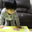 Happy tail 이미지