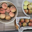 재희농장 이미지