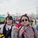 김제시 치매안심센터 | 🌸 봄날의 기억, 함께 걷는 치매극복 한걸음