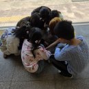 대교초 5/12 이미지