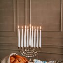 정성한우 이미지