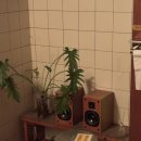 보성주류(자) | 동명동데이트술집 “계절식당 사소” 재방문할 분위기맛집