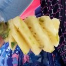 신호농장 이미지