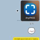 마동-17 | 2025.11 ROUND2 in JAPAN 후기 -1