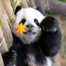 뚱땅뚱땅 이미지