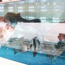 이득등대횟집 이미지