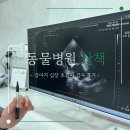 동물병원 산책 | 강아지 심장병 | 동물병원산책 심장 초음파 검사 후기