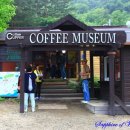 왕산골숲속 이미지