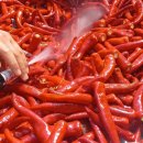 동네농장(2) 이미지