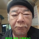 의성 원정 예전대박지 찔끔수확 상황산행.260 (사진영상) 이미지
