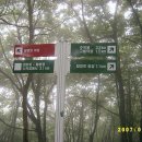 자연1호 이미지