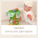 돌 아기 장난감, 브라이트스타트 공놀이 정글트리 사용시기 사용방법