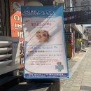 이쁘개멋있개 이미지