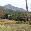 지리산두류실 이미지