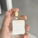 시창작 입문 | 산타마리아노벨라 향수 가격 종류 (프리지아 &amp; 엔젤 디 피렌체 추천 후기)