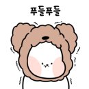 생화네일 이미지