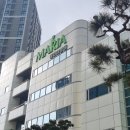 동결배아 이식과정과 총 비용정리 _ 난임지원금 신청/3일배아(마리아병원 신설동 임경실 원장님)