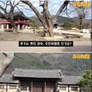 중국 tv프로그램 에서 소개한 한국 시골 이미지