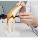 길음아산척신경외과의원 이미지