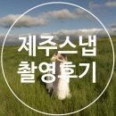 미보식당 | W05. 비오는날 제주 스냅촬영하기? 셀프부케+유아오헤메+촬영후기 와 추가금까지 렛츠고