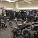 원더바디핏 이미지