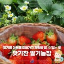 노산농장 이미지