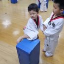 경희 효 태권도장 이미지