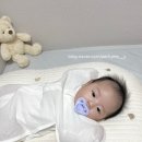 쪽쪽이 사용 시기는 언제부터? 모윰 실리콘 마카롱 쪽쪽이 사용 후기