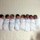 다온누리 이미지