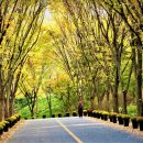 수목원 입구 이미지