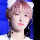 사쿠