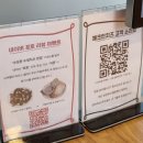 과일콕수성점 | 대구 수성못 맛집 "체크인치즈" 솔직한 후기(+ 브런치카페 , 애견동반 가능)