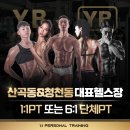 ✅ “헬스장보다 효과 빠른 그룹PT! 청천동 Y.B TEAM FIT 완전 분석”