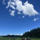 진배목장 이미지