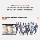 갤로핑 Daum카페