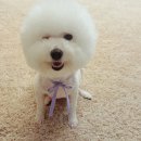 마린숲 동물병원 이미지